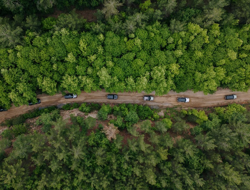 land nature outdoors tree vegetation woodland aerial view road truck car
