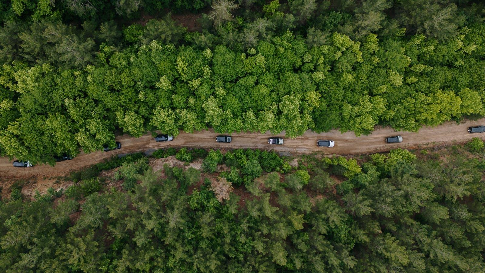 land nature outdoors tree vegetation woodland aerial view road truck car